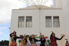 IMG_0847 IMG_0847